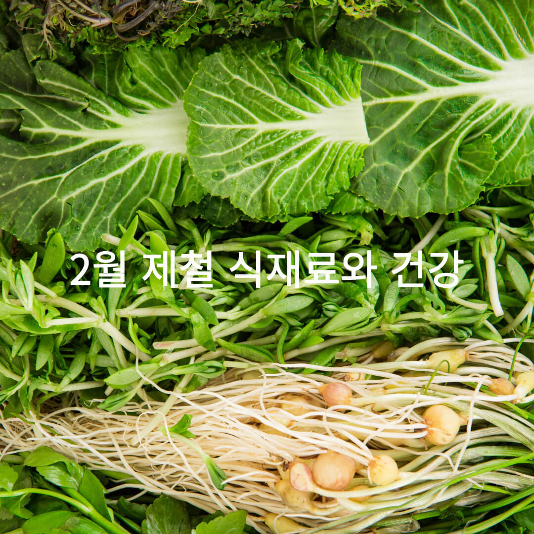 2월제철식재료와 건강
