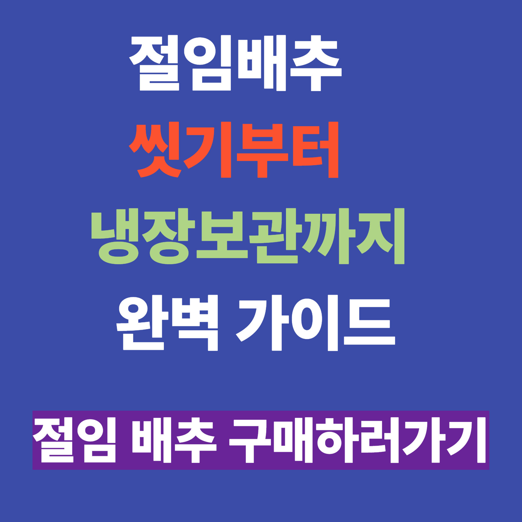 절임배추 씻기부터 냉장보관까지 완벽 가이드
