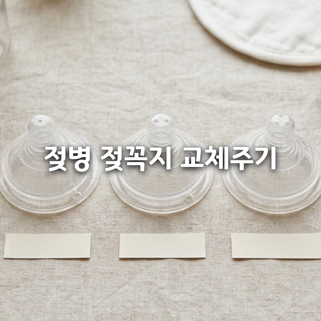 젖병 젖꼭지 교체 시기 총정리🍼 월령별 단계까지