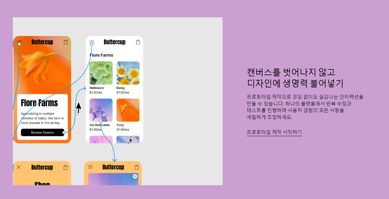 피그마