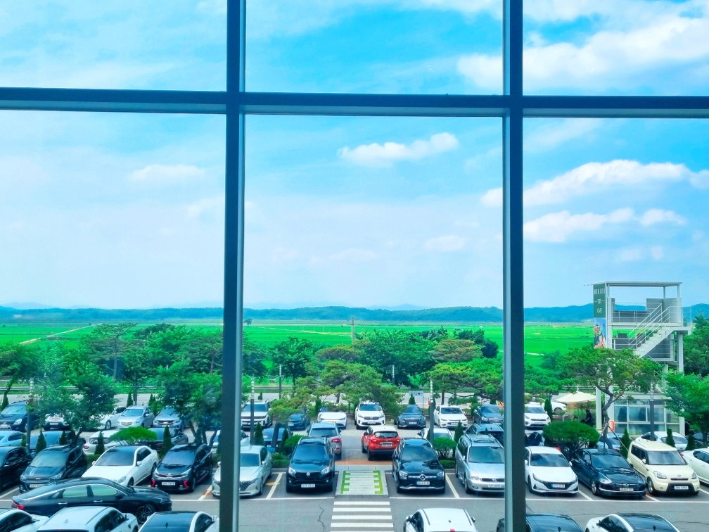 팔방미인 파주 문지리 535 카페 매력 포인트: 드넓은 논밭 뷰와 초록을 담은 실내 식물원