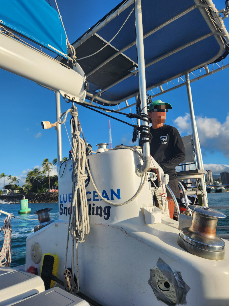 하와이 거북이 스노클링 ( 터틀 스노클링 ) 블루오션 스노클링