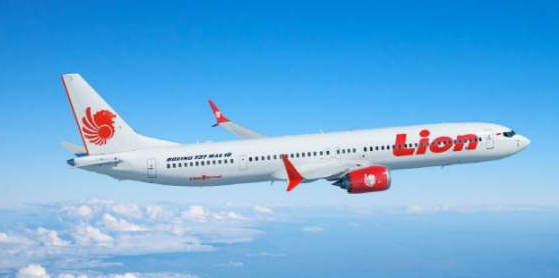 라이온에어(Lion air)