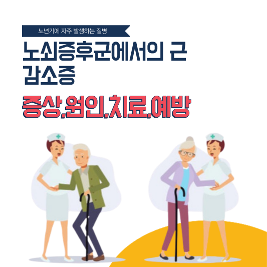 노쇠증후군에서의 근감소증: 증상, 원인, 치료, 예방법