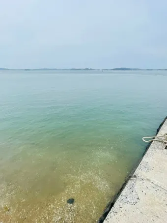 원산도 가볼만한곳 베스트10 명소_17