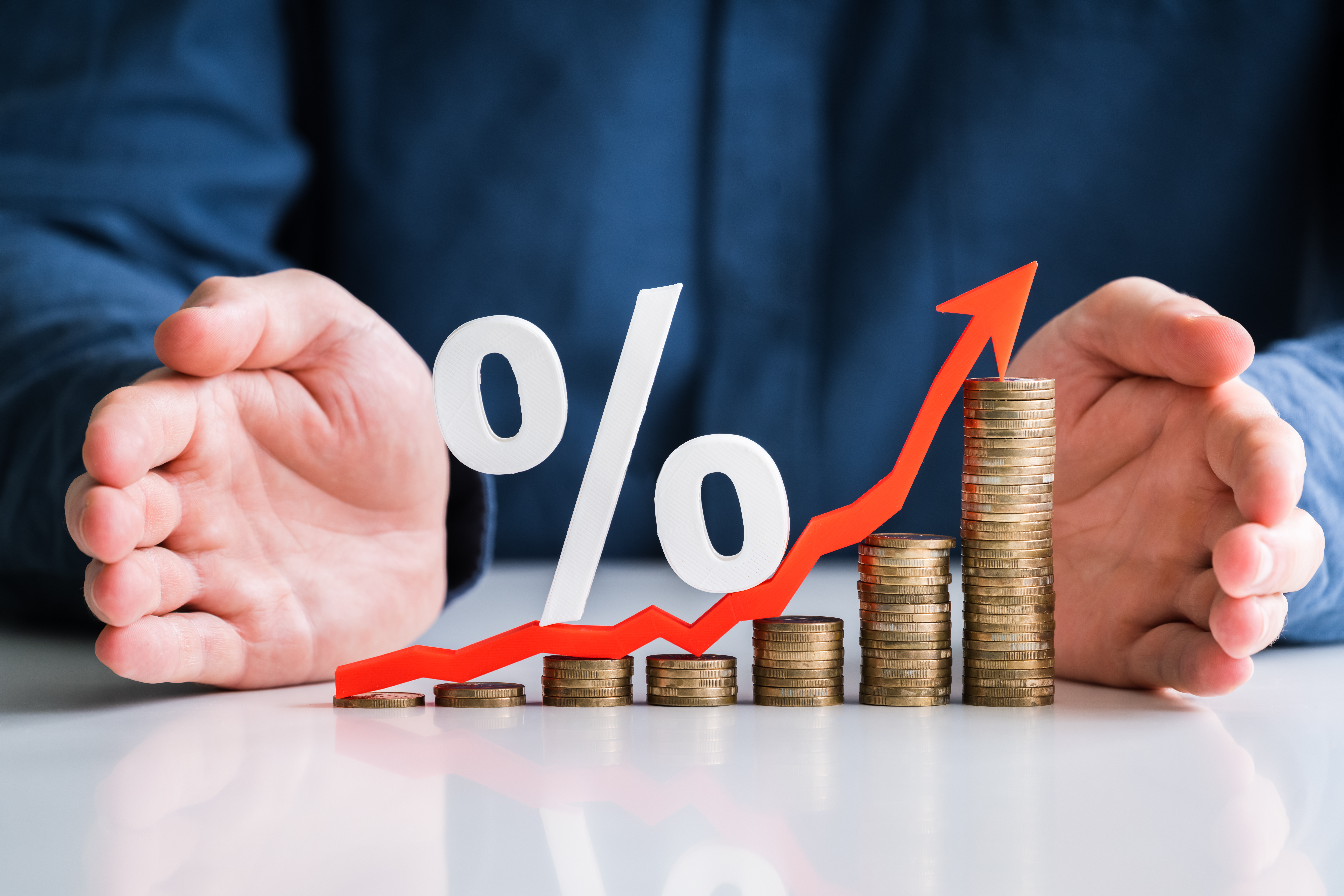 투자 관련 이미지