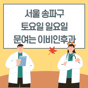서울 송파구 토요일 일요일 이비인후과 진료 병원 리스트