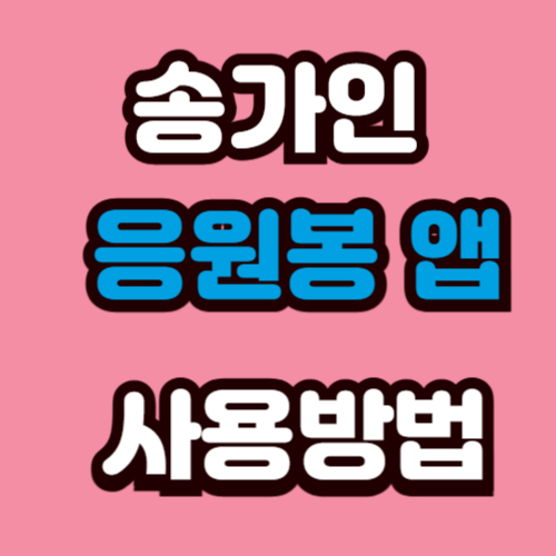 송가인 응원봉 앱