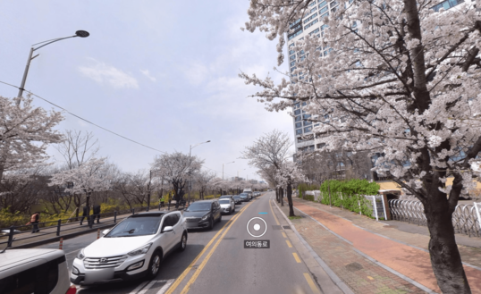 여의도 숨은 벚꽃명소 나만알고싶은 벚꽃길