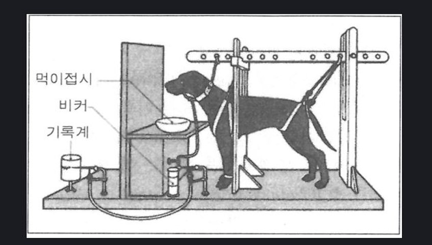 파블로프의 개, 고전적 조건 형성 원리와 역조건 형성 원리