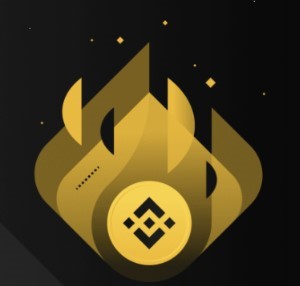 BNB 소각