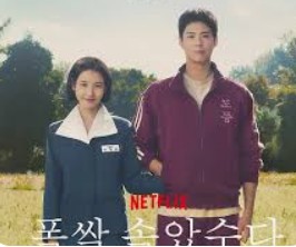 드라마- 폭삭 속았수다