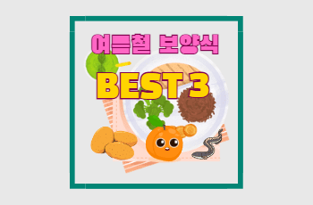 여름철 보양식 BEST3