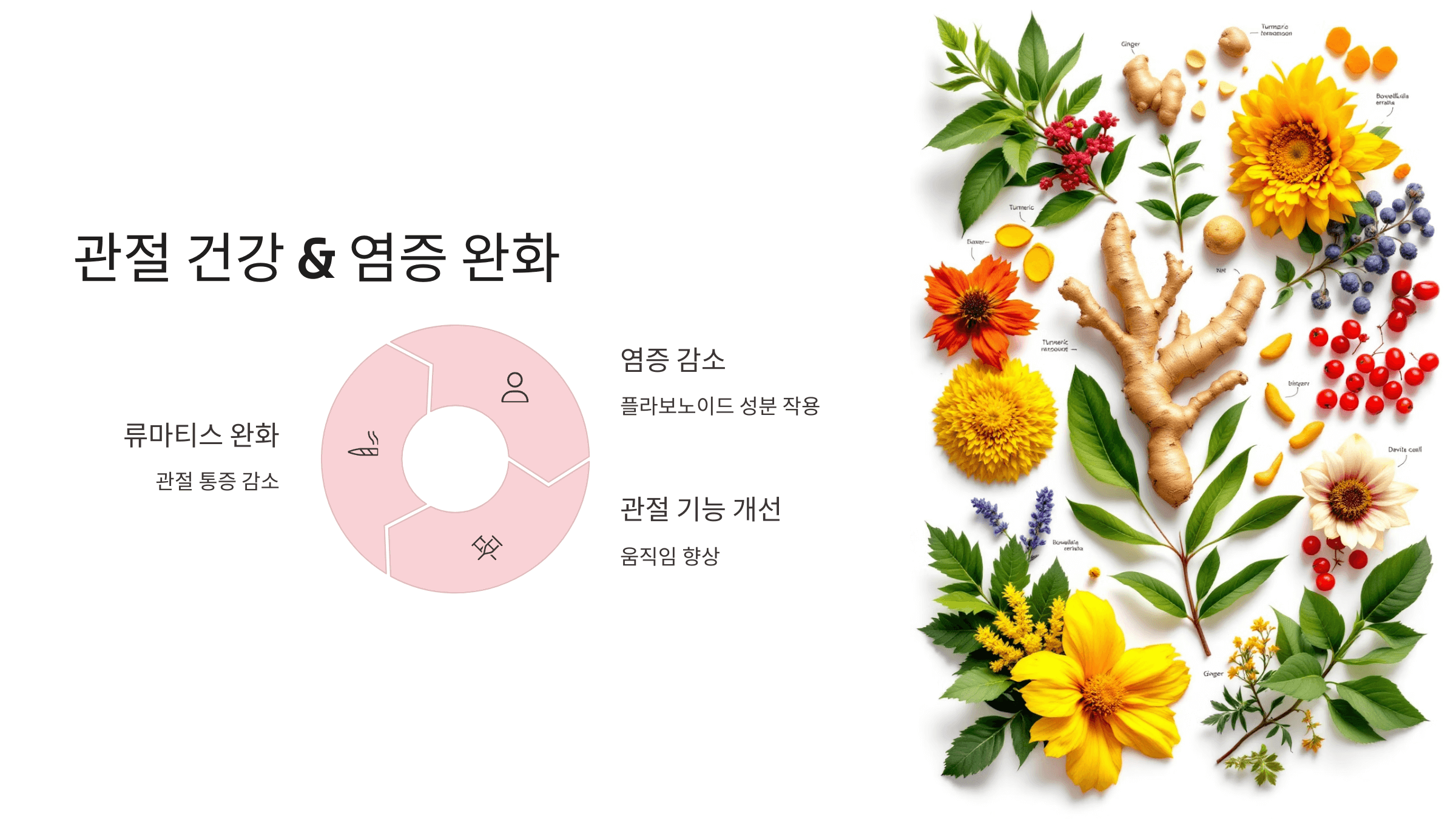 마가목 사진입니다.