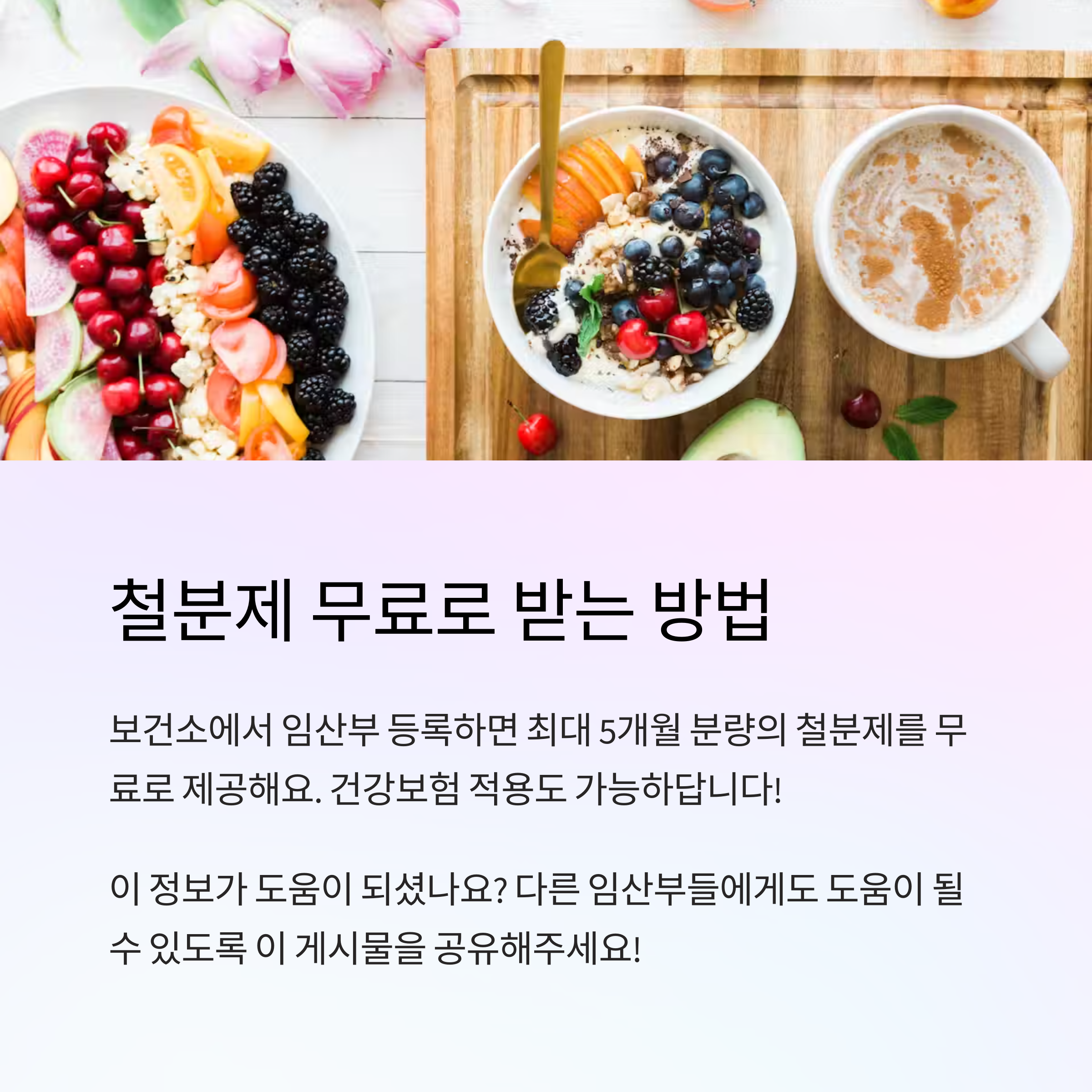 임산부 철분 – 철분제 무료 지원 정보