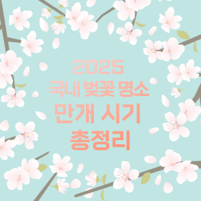 국내 번꽃 명소 총정리