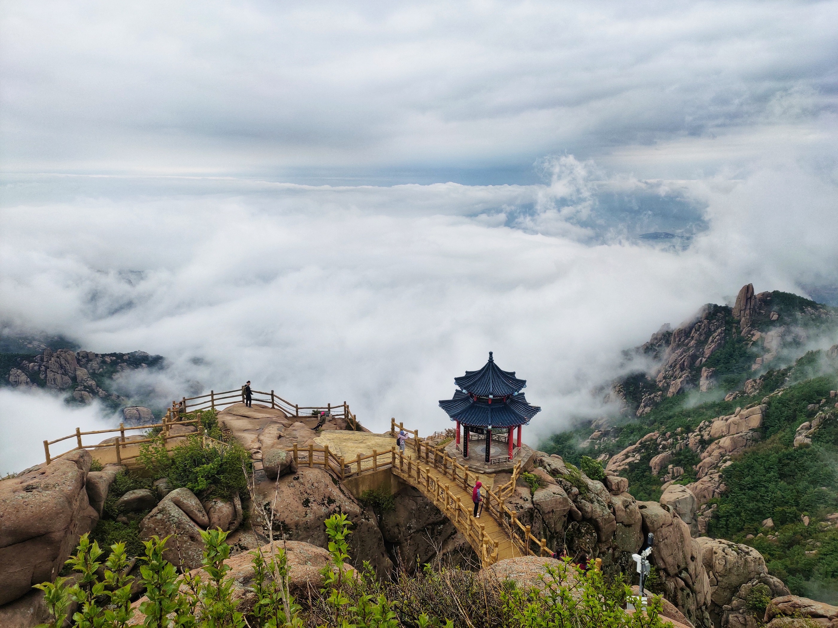 노산의 여름