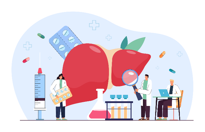 간 검사 일러스트