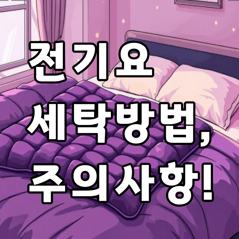 전기요 세탁 방법 완전정리