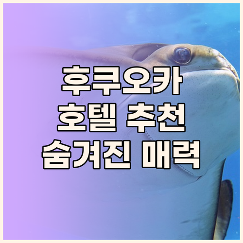 후쿠오카 호텔 고민 끝! 하카타 인기