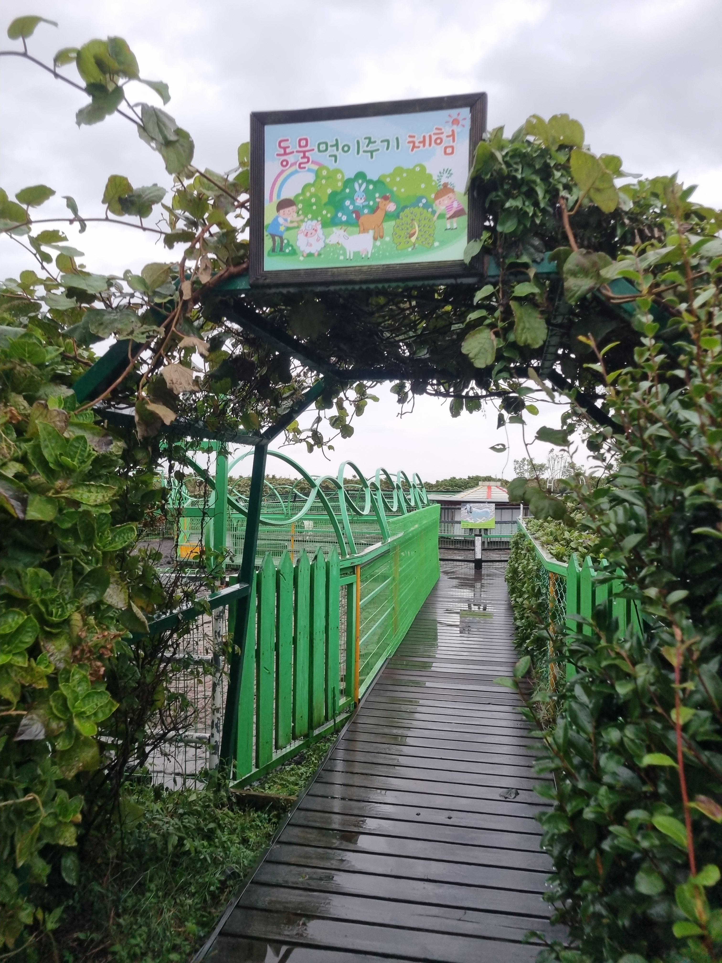 제주레일바이크