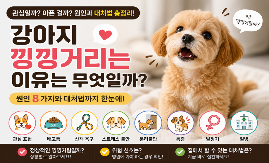 강아지 낑낑거리는 이유 대표 이미지