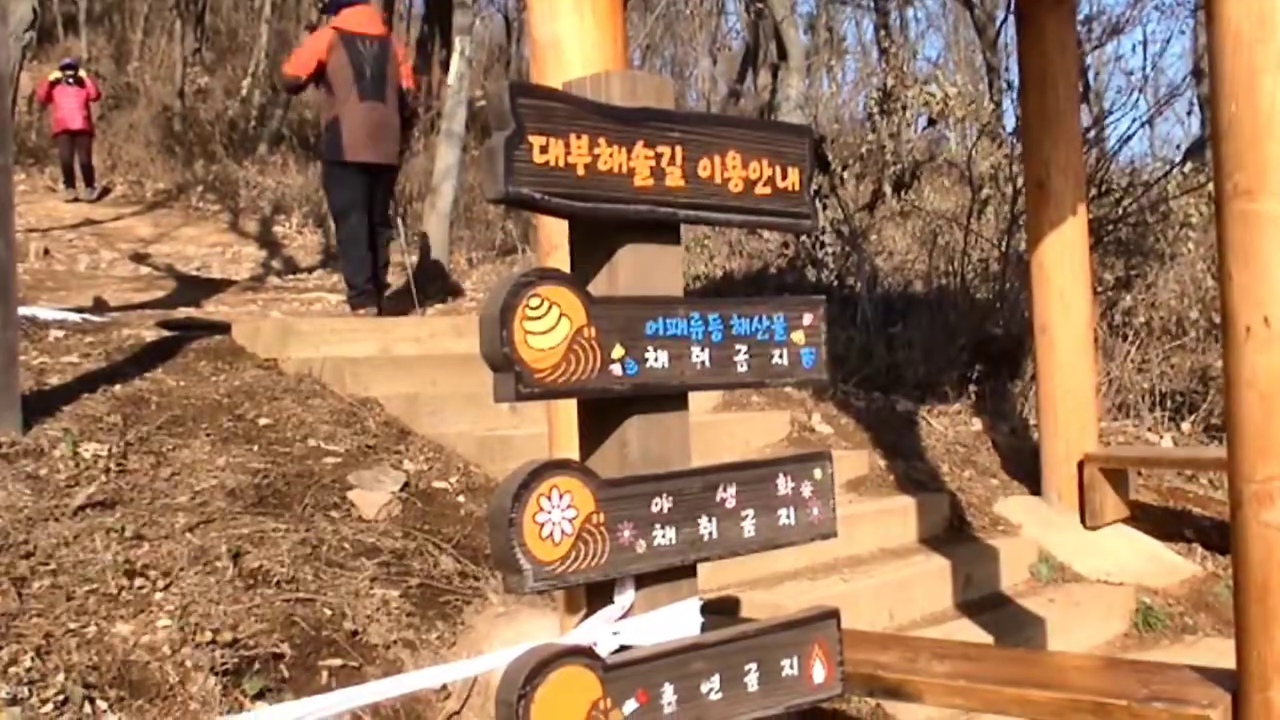 대부해솔길 이용안내 표지 옆으로 숲길에 들어서는 일행