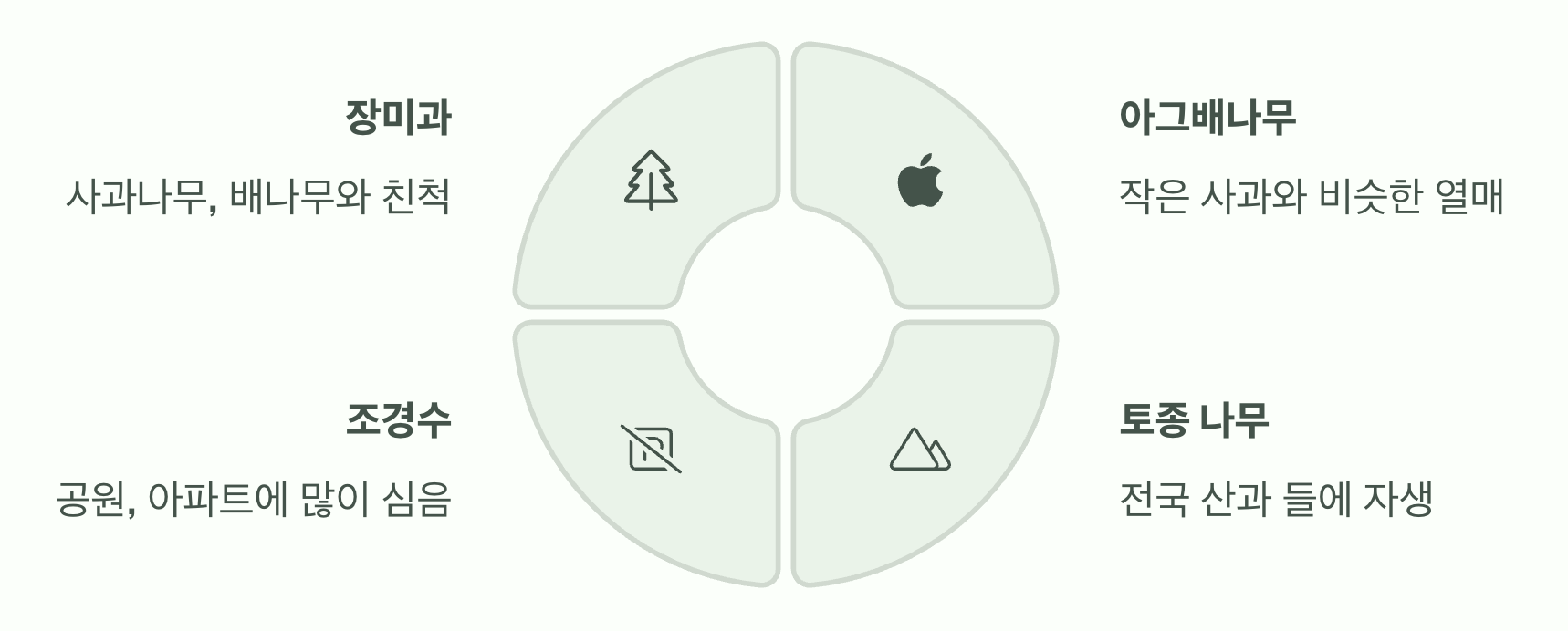 야광나무의 진짜 정체는?