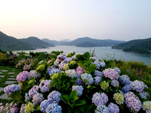 고흥 힐링파크 쑥섬쑥섬
