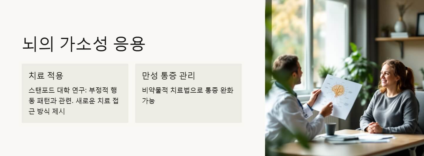 뇌의 가소성
