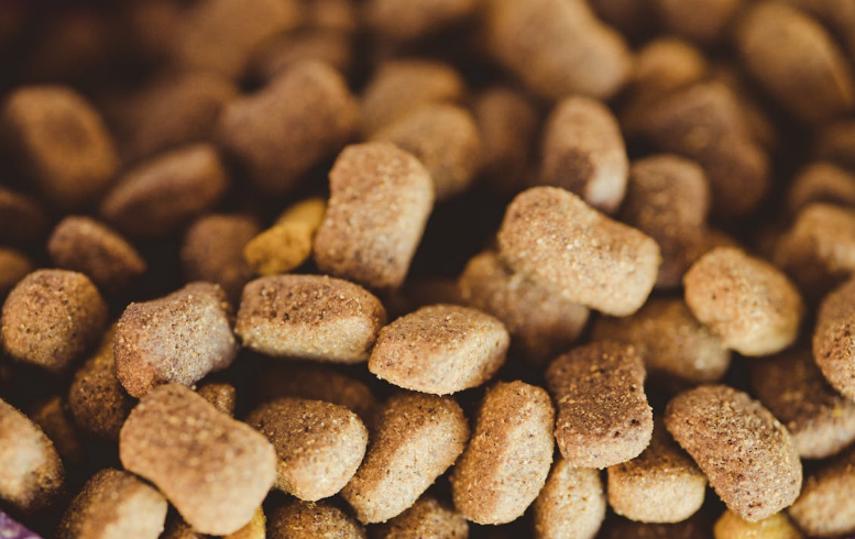 습식사료 관련 사진