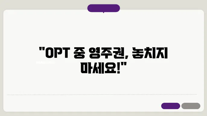 opt 기간 중 영주권 신청