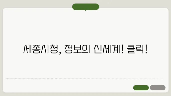 세종시식에 버스조직 안내아요.