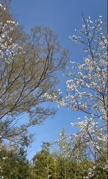 김제 가볼만한 곳