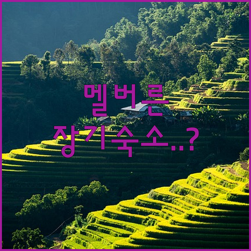 멜버른 장기 투숙에 최적화된 호손 큐..