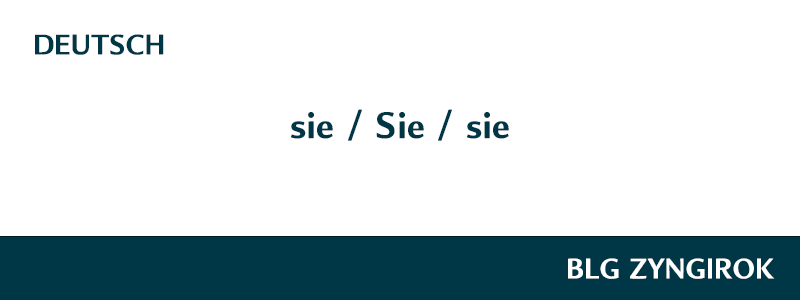 sie-Sie-sie-구분-썸네일-이미지-입니다.