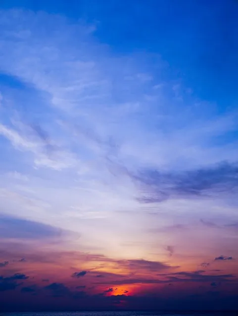 폴리코사놀 효능 알아보기 건강 보조제 정보_4