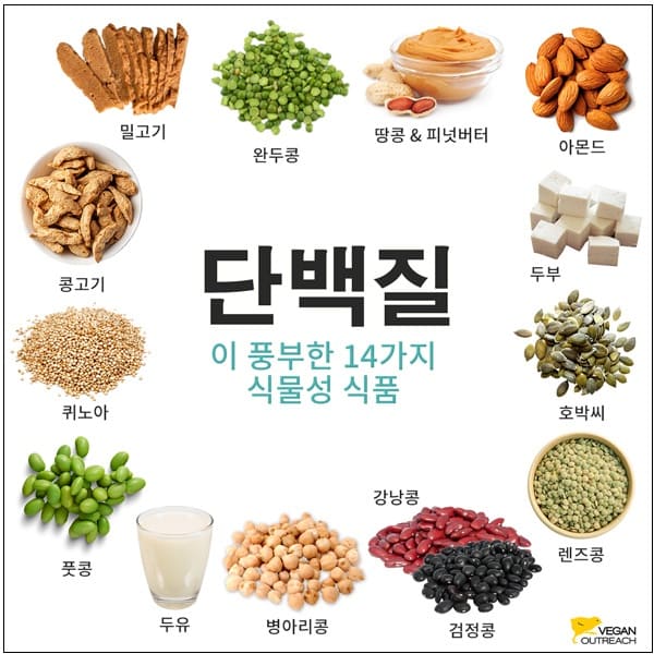 뉴욕대 의대 교수가 알려주는 장수 위해 줄여야 할 영양분