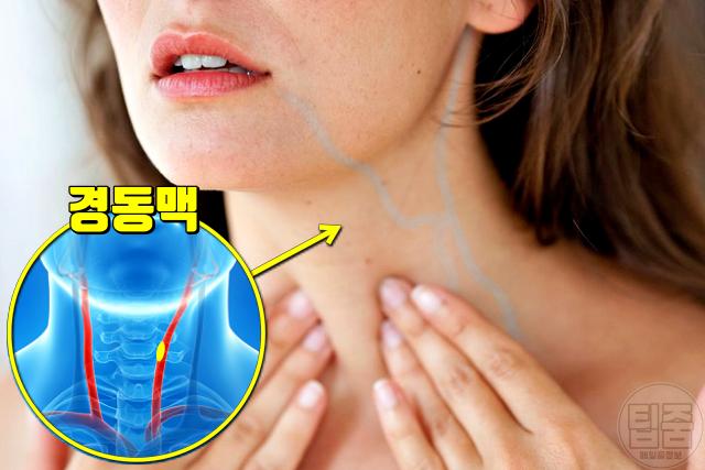 혈관 막힘 증상 치료 한쪽눈이 안보여요
