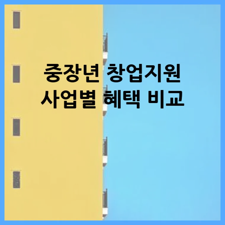 중장년 창업지원 사업별 혜택 비교