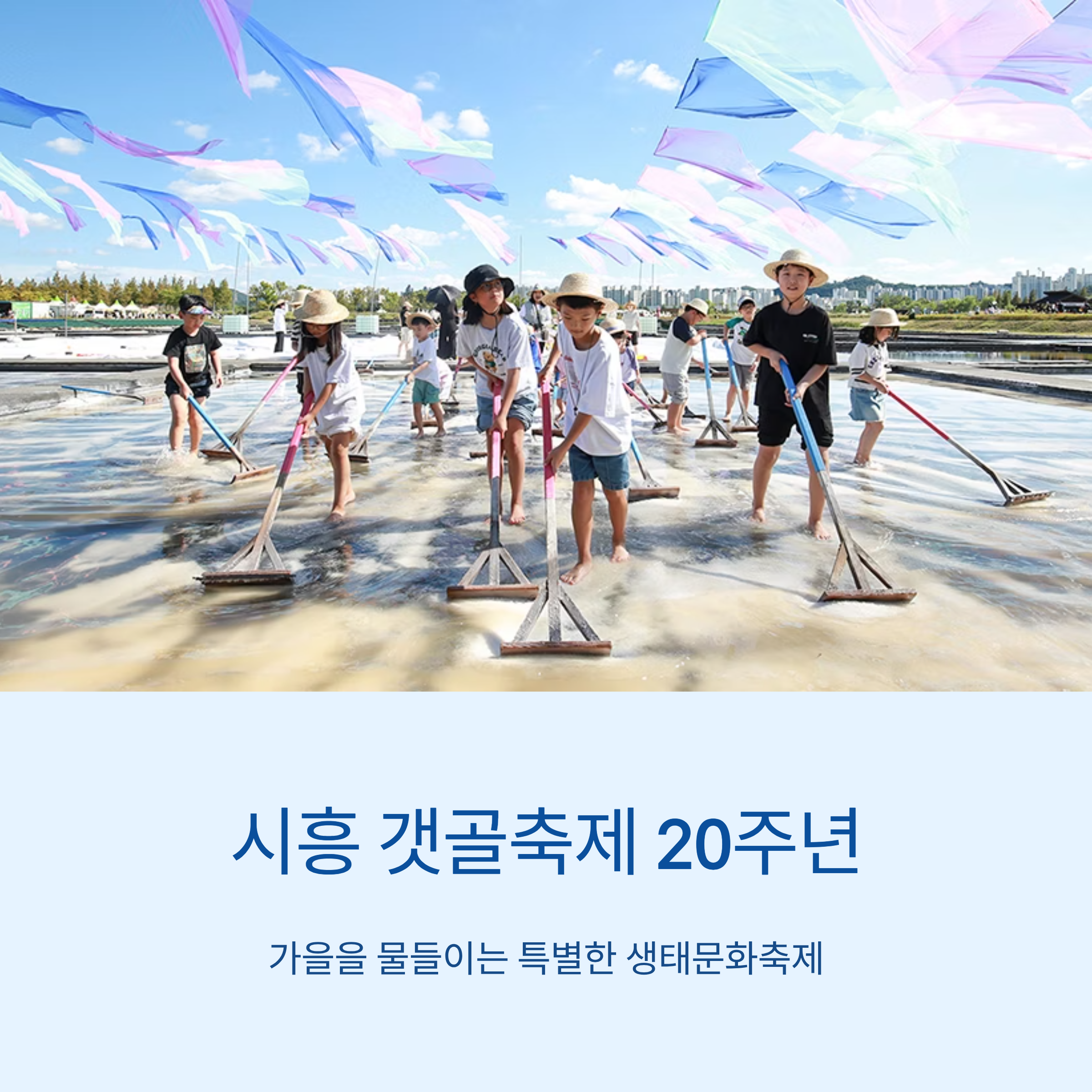 시흥 갯골축제 20주년, 가을을 물들이는 특별한 생태문화축제