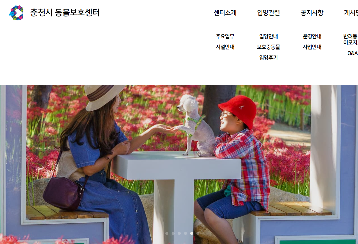 춘천시 동물보호센터 사진