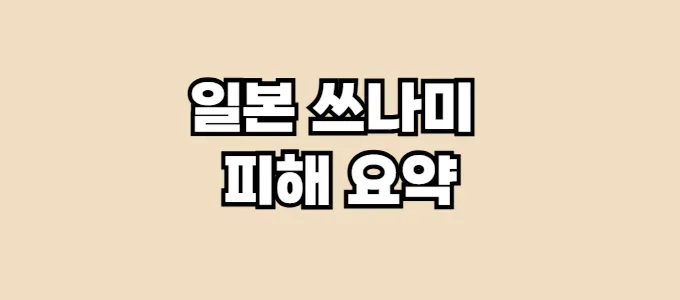 일본쓰나미 피해