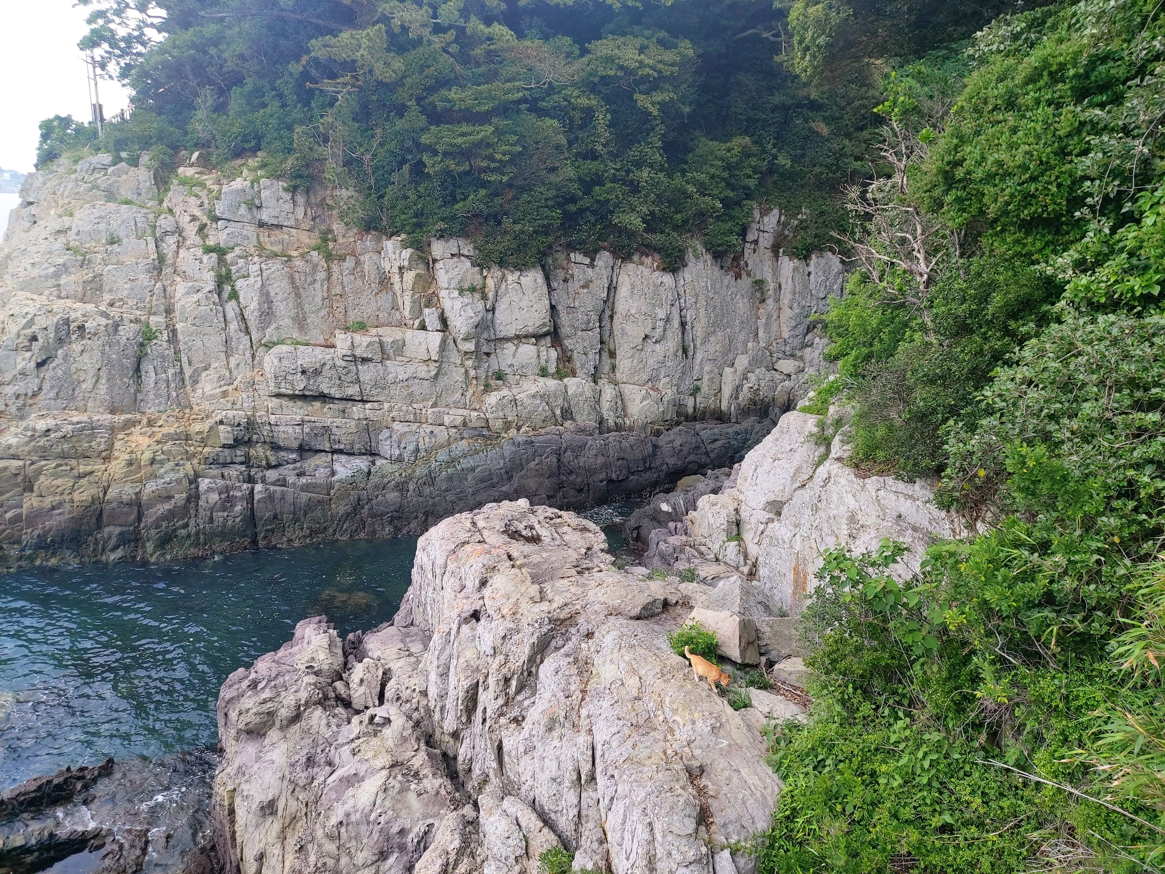 여수오동도 가격