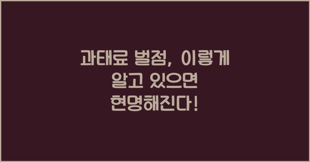 과태료 벌점
