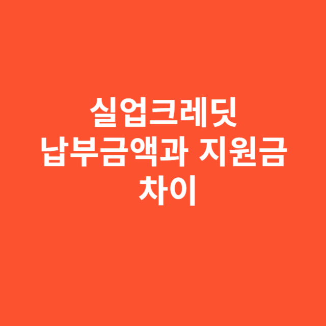 실업크레딧 납부금액과 지원금은 얼마나 차이날까