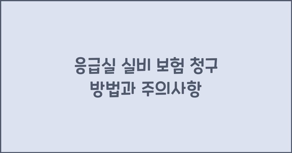 응급실 실비