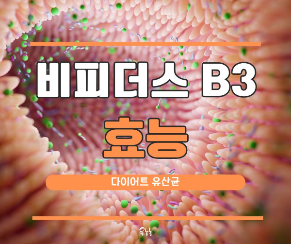 비피더스 B3