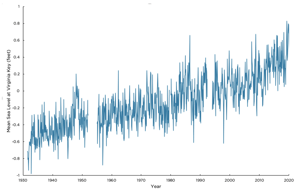 NOAA 조류 및 해류 그래프