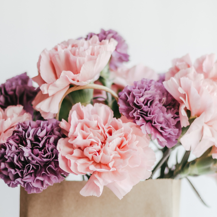 5월 축제일정표